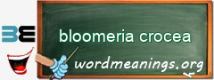 WordMeaning blackboard for bloomeria crocea